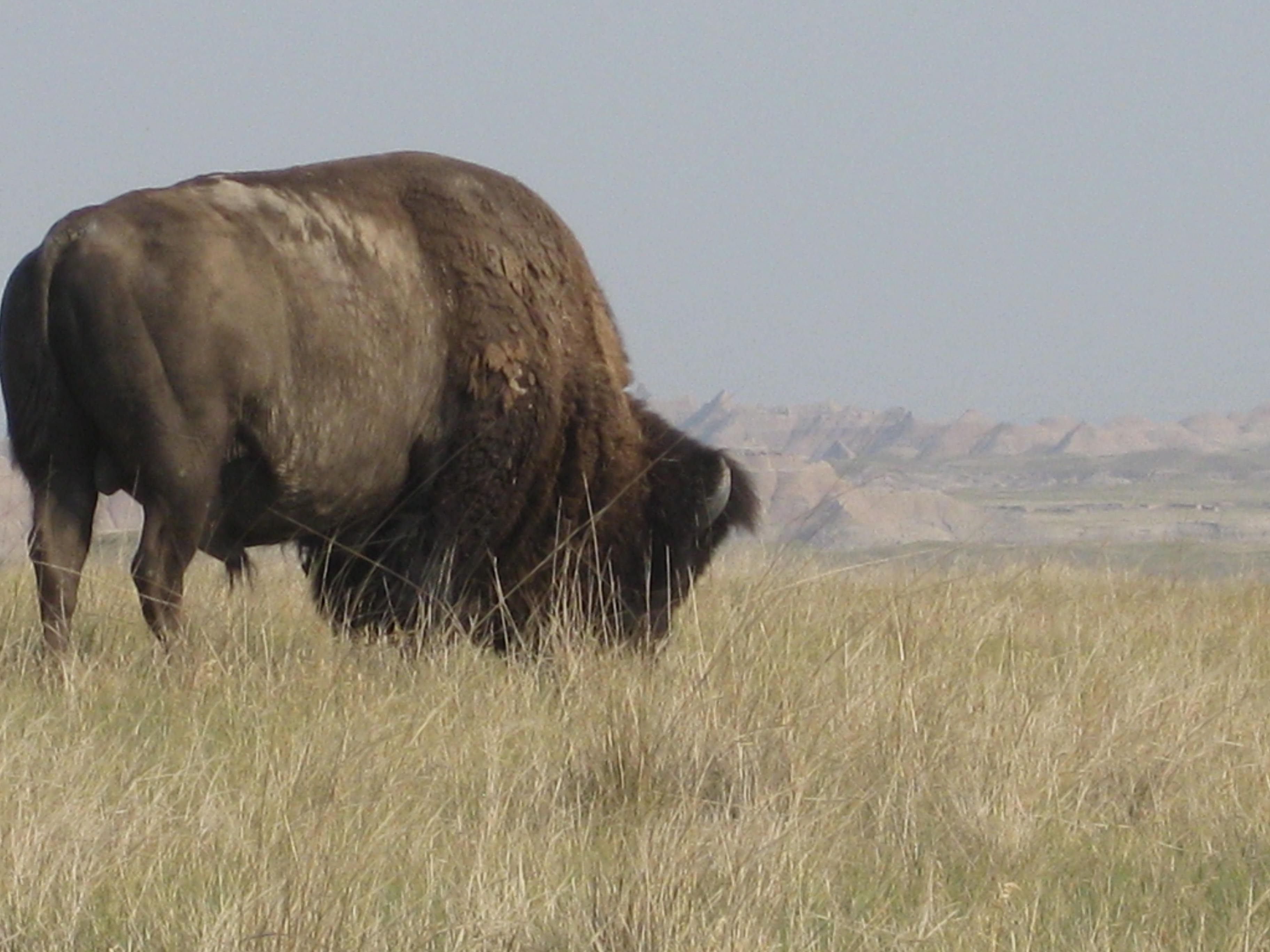 Badlands '12